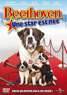 Affiche du film Beethoven : Une star est née