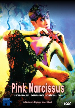 Affiche du film Pink Narcissus