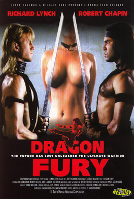 Affiche du film Dragon Fury