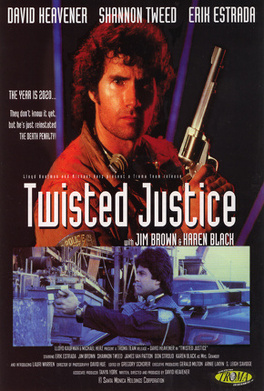 Affiche du film Twisted Justice