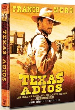 Affiche du film Texas Adios