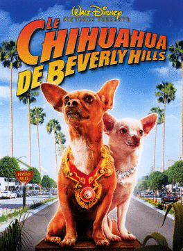 Affiche du film Le chihuahua de Beverly Hills