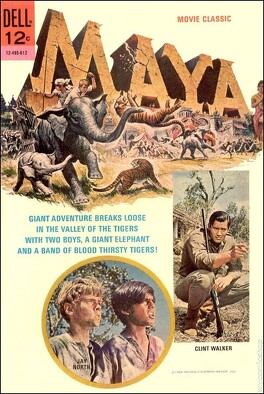 Affiche du film Maya