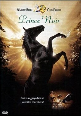Affiche du film Prince noir