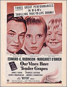 Affiche du film Our Vines Have Tender Grapes