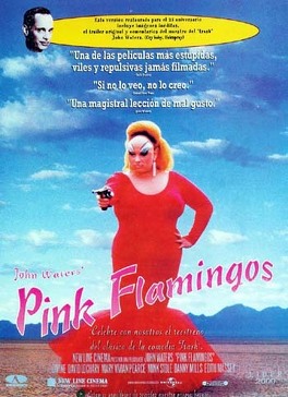 Affiche du film Pink Flamingos