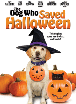 Affiche du film le chien qui a sauvé halloween
