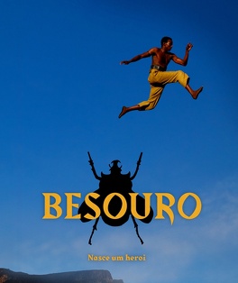 Affiche du film Besouro
