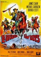 Affiche du film La Brigade des Cow-Boys