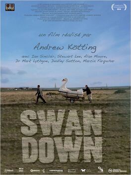 Affiche du film Swandown