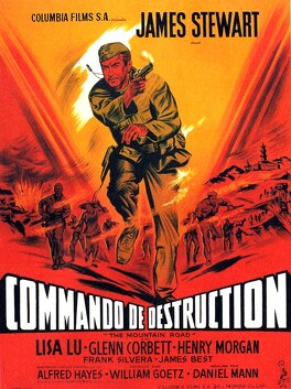 Affiche du film Commando de Destruction