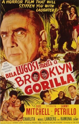 Affiche du film Le Gorille de Brooklyn
