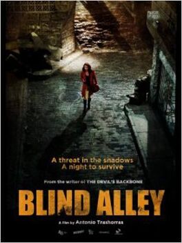 Affiche du film Blind Alley