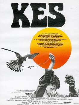 Affiche du film Kes