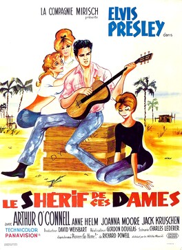 Affiche du film Le Shérif De Ces Dames