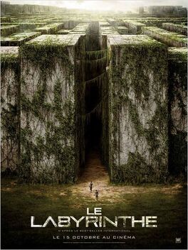 Affiche du film Le Labyrinthe
