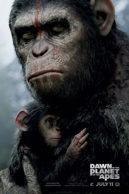 Affiche du film La Planète des singes : L'affrontement
