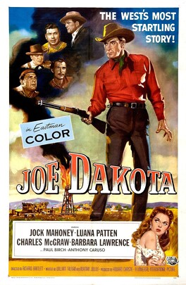 Affiche du film Joe Dakota