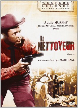 Affiche du film Le Nettoyeur