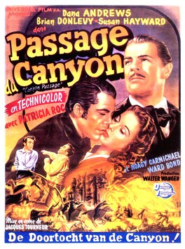 Affiche du film Le Passage Du Canyon