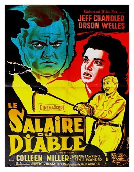 Affiche du film Le Salaire Du Diable