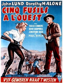 Affiche du film Cinq Fusils Dans L'Ouest
