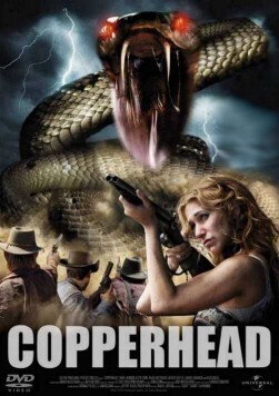 Affiche du film Copperhead