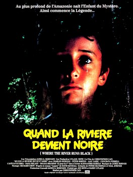 Affiche du film Quand La Rivière Devient Noire