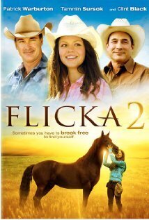 Affiche du film Flicka 2: amies pour la vie