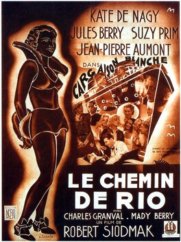 Affiche du film Le Chemin De Rio