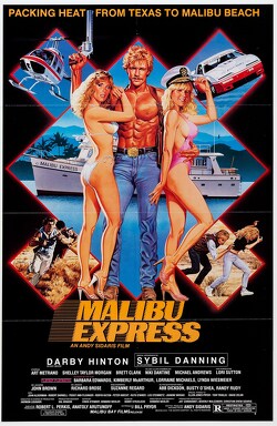 Couverture de Malibu Express