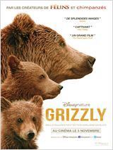 Couverture de Grizzly