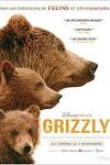 couverture Grizzly