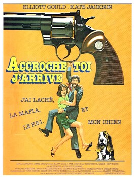 Affiche du film Accroche-Toi, J'Arrive