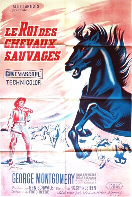 Affiche du film Le Roi Des Chevaux Sauvages