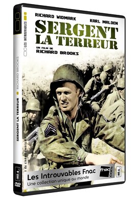 Affiche du film Sergent La Terreur