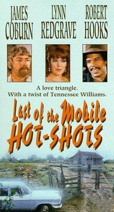 Affiche du film Last Of The Mobile Hot Shots