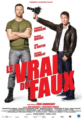 Affiche du film Le Vrai Du Faux