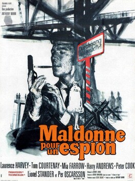 Affiche du film Maldonne Pour Un Espion