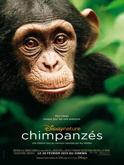 Couverture de chimpanzés