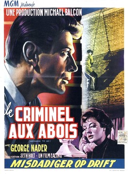 Affiche du film Le Criminel Aux Abois
