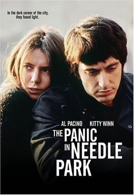 Affiche du film Panique A Needle Park