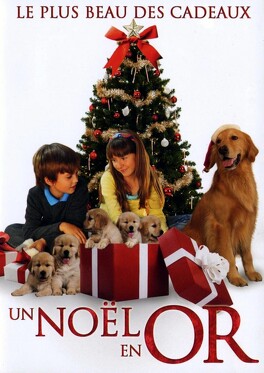 Affiche du film Un Noël En Or