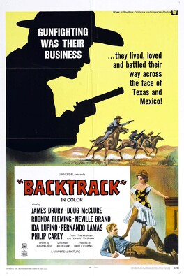 Affiche du film Backtrack