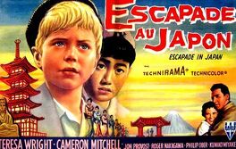 Affiche du film Escapade Au Japan