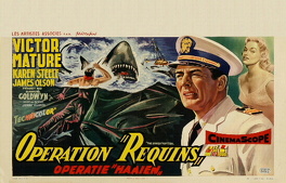 Affiche du film Opération Requins
