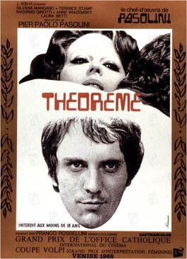 Affiche du film Théorème
