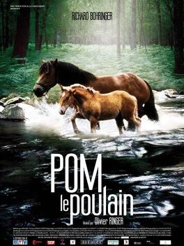 Affiche du film Pom, le poulain