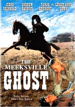 Couverture de The Meeksville Ghost
