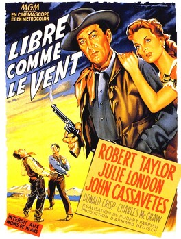 Affiche du film Libre Comme Le Vent